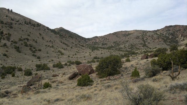 hills behind black spring