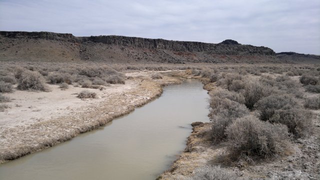 twin springs slough