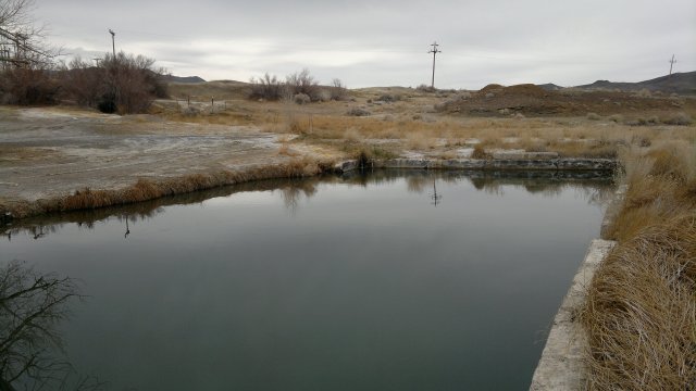 alkali hot spring (between tonopah and silver peak)