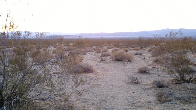 campsite along kelbaker road