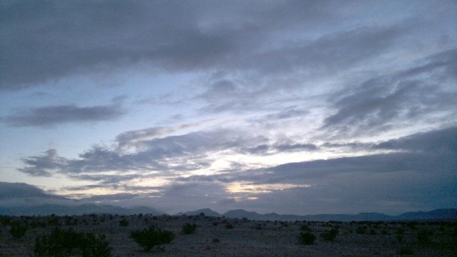 morning after rain