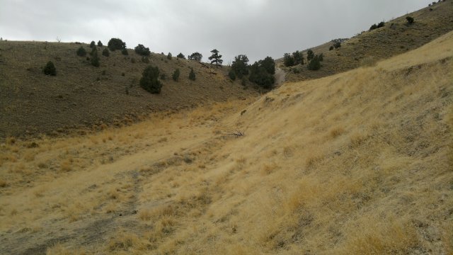 earthquake fault (vertical slippage)