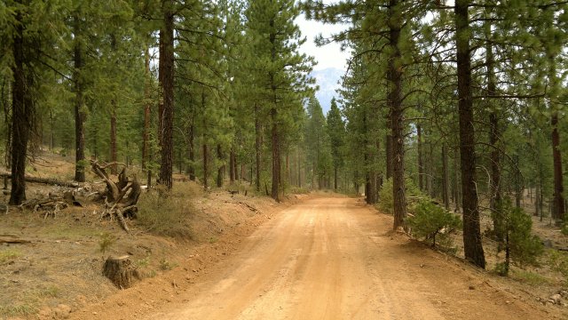 old haun road