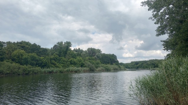 bački canal