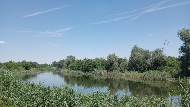veliki bački canal