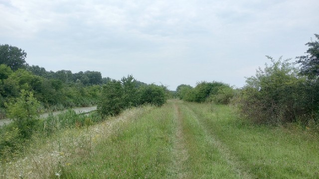 dunav-tisa canal road
