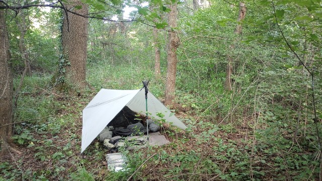 camped in forest