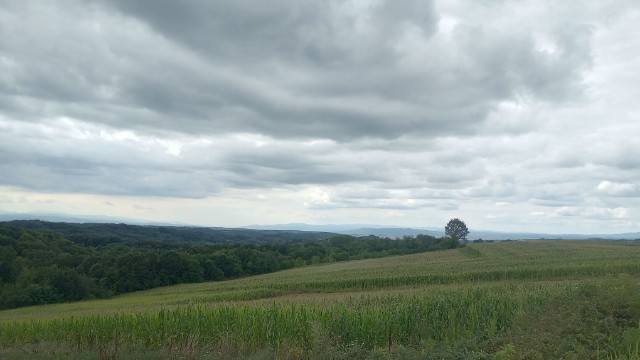 overcast sky