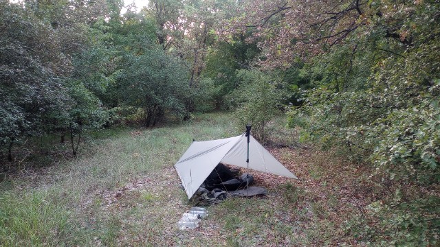camped in forest clearing